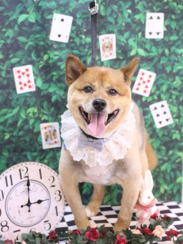 20250416やまとくん